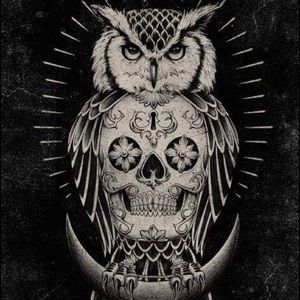 Meet your Posher, Terry